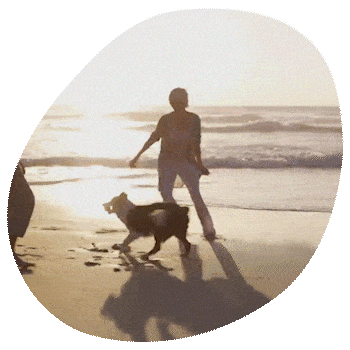A veterinarian walks and plays with a dog on the beach at sunset, with waves in the background and their shadows cast on the sand.