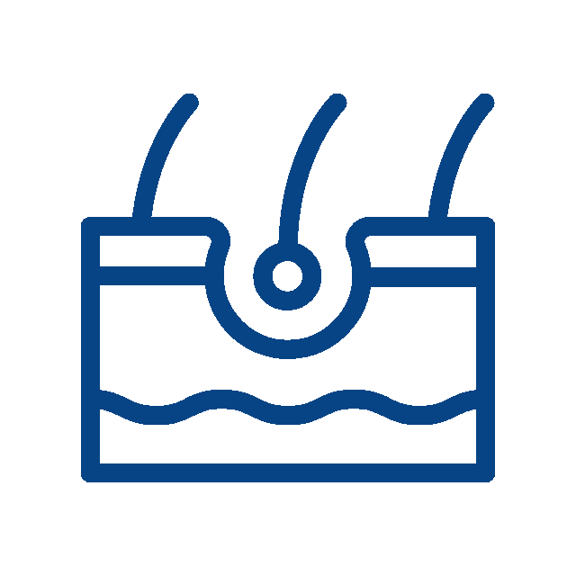 Animated blue line icon of skin with hair follicles
