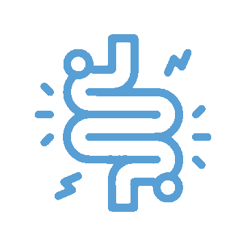 Blue line drawing of a digestive tract or intestines with small lines and lightning bolt shapes around it, suggesting pain or discomfort—an image a vet or veterinarian might use to illustrate digestive issues in pets.