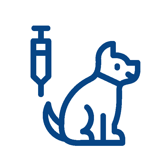 Blue outline icon showing a sitting dog next to a syringe, symbolizing pet vaccination or veterinarian care.