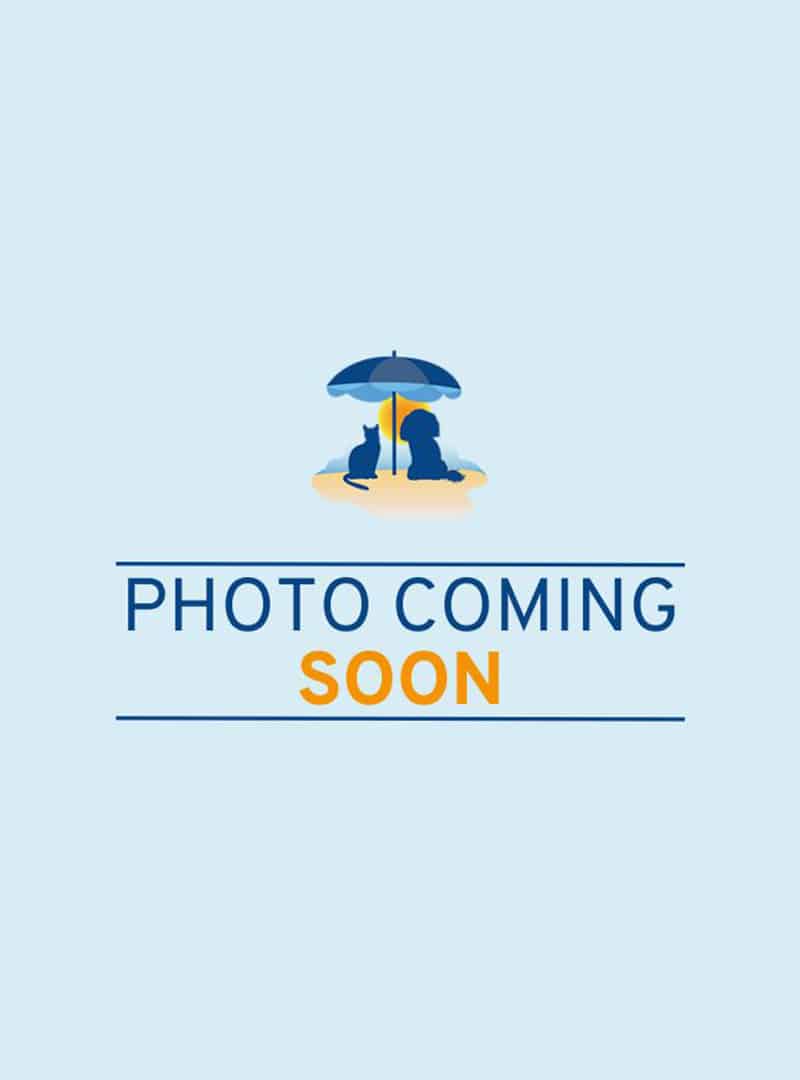 Illustration of two people sitting under a blue umbrella on sand, with "Photo Coming Soon" below them; "Soon" is highlighted in orange. Light blue background. Perfect for a vet or veterinarian waiting room announcement.